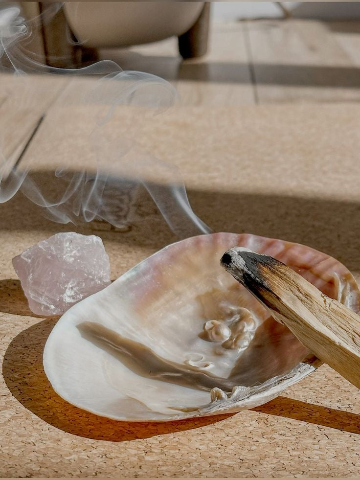 Deniz Kabuğu Tütsülük