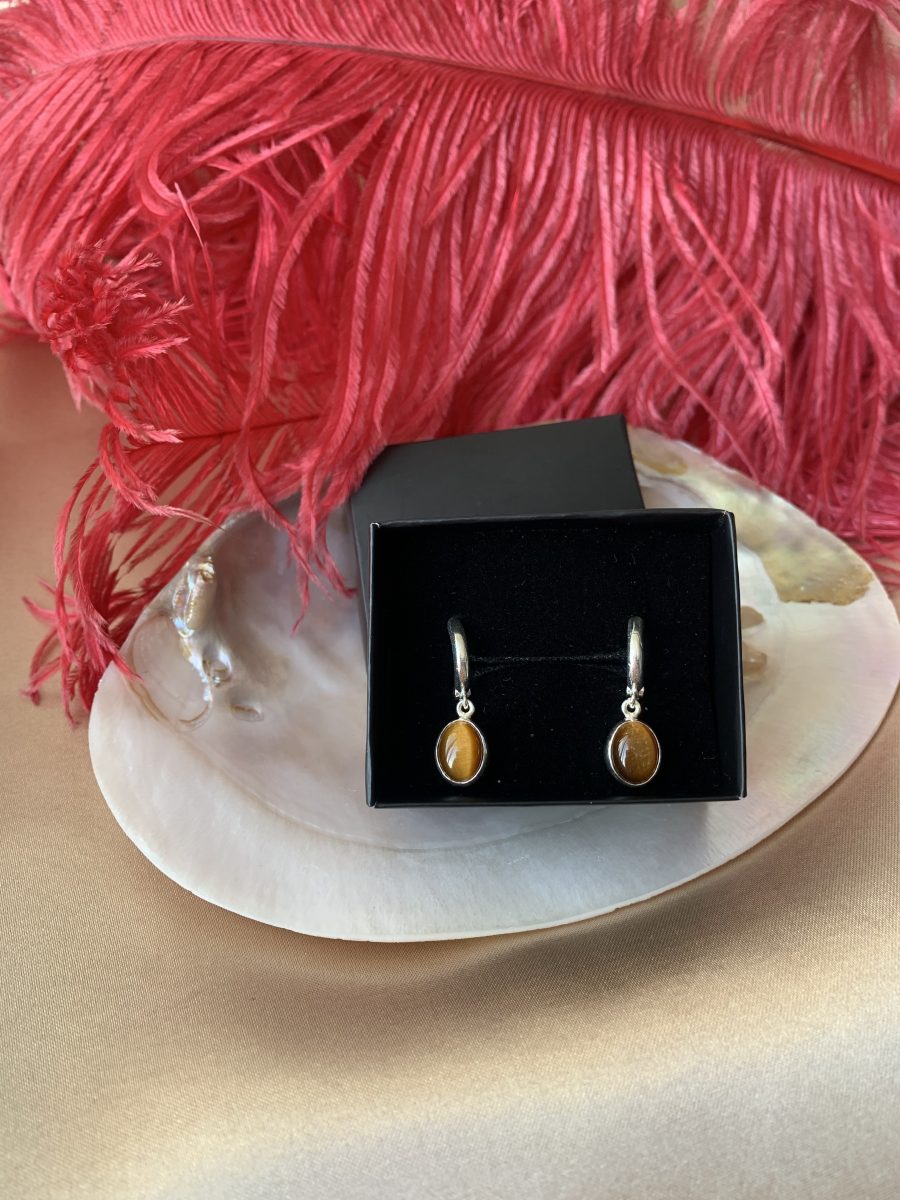 Kaplangözü Gümüş Küpe