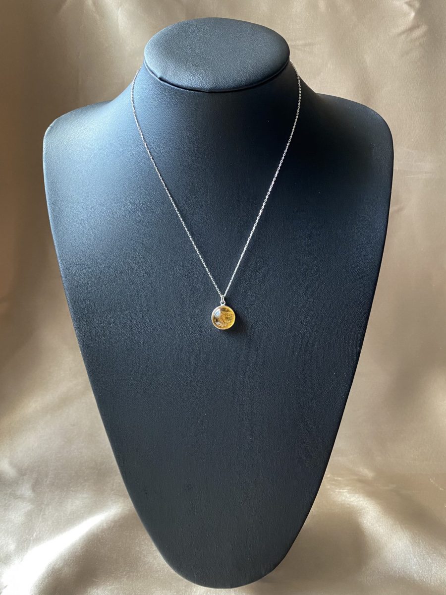 Sitrin Büyük Yuvarlak Gümüş Kolye