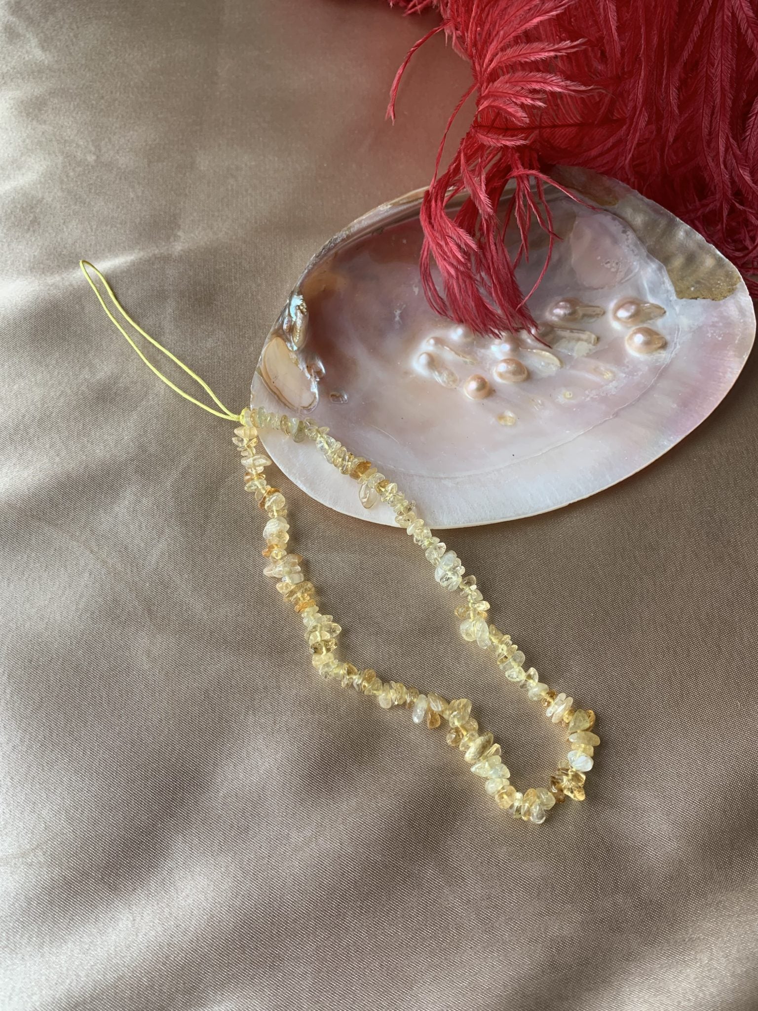 Sitrin Telefon Askısı