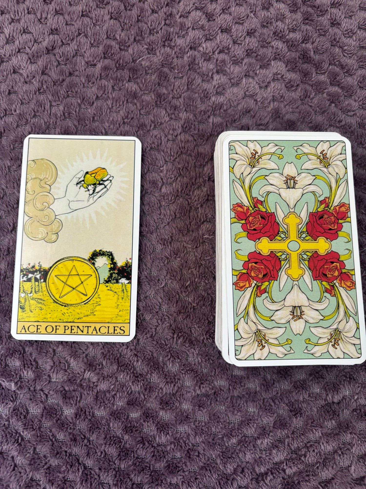 Tarot 6 Aylık Kariyer/Eğitim Süreci Açılımı